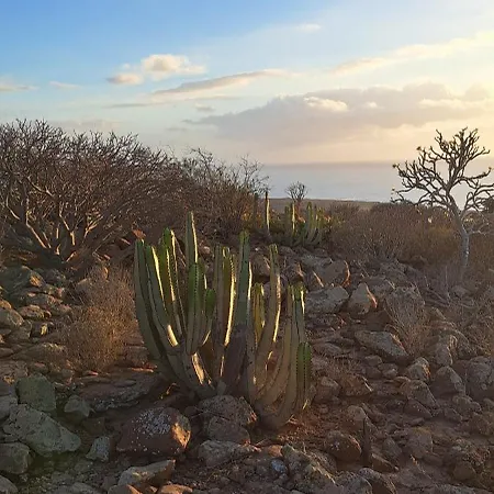 Casa Paraiso *