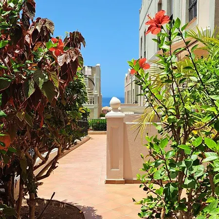 Casa Paraiso パルム・マール