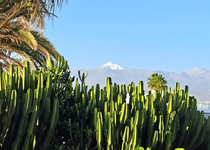 Apartment Casa Paraiso Palm-mar
