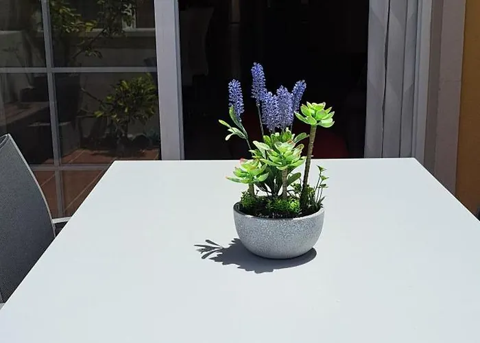 Casa Paraiso Apartment Palm-mar