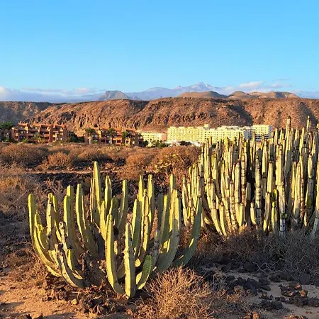 Daire Casa Paraiso *