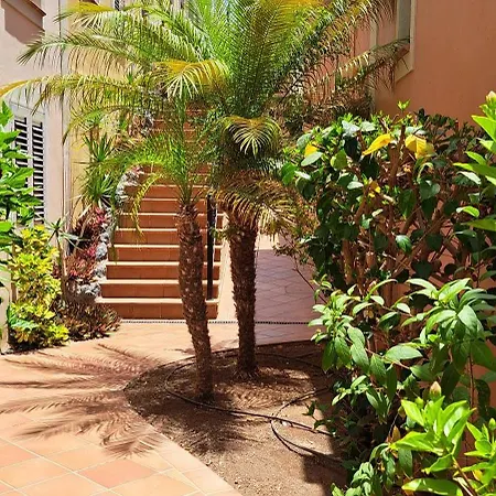 Daire Casa Paraiso *